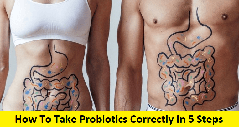 How To Take Probiotics Correctly In 5 Steps (2022)
