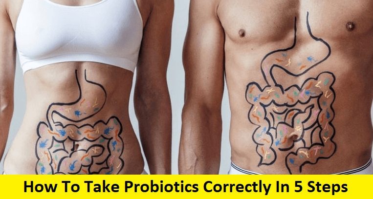 How To Take Probiotics Correctly In 5 Steps (2024)