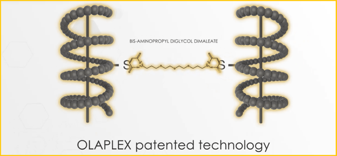 My Review Olaplex Shampoo Do Its Ingredients Work? Supplementox