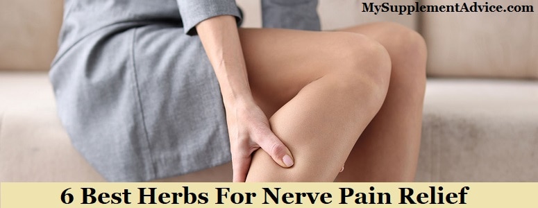 6 Best Herbs For Nerve Pain Relief