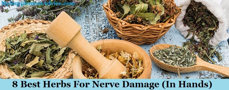 8 Best Herbs For Nerve Damage (In Hands)