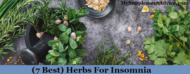 (7 Best) Herbs For Insomnia
