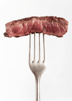 carnivore diet cause constipation cancer