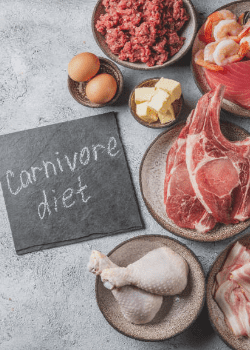 dr. ken berry carnivore diet