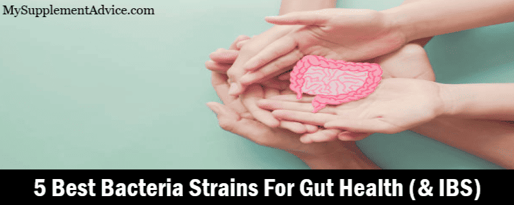 5 Best Bacteria Strains For Gut Health (& IBS)