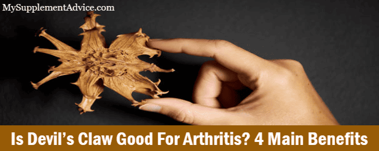 Is Devil’s Claw Good For Arthritis? 4 Main Benefits